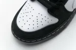 Panda Pigeon Dunks