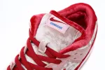 Nike Dunk Strange Love