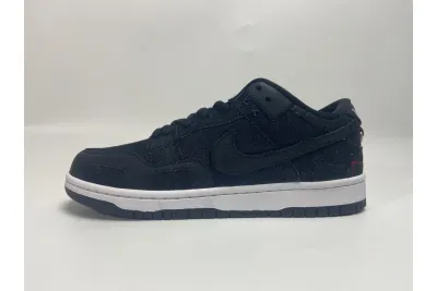 Nike SB Dunk Low Wasted Youth Reps Sneaker DD8386-001 01