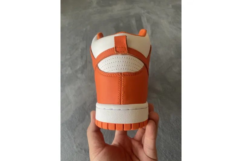 syracuse nike dunk high