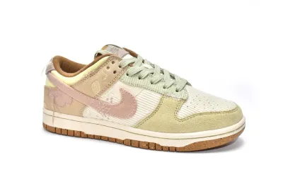 Nike Dunk Low On The Bright Side Reps Sneaker DQ5076-121 01