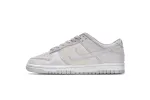 vast grey dunk low Fake