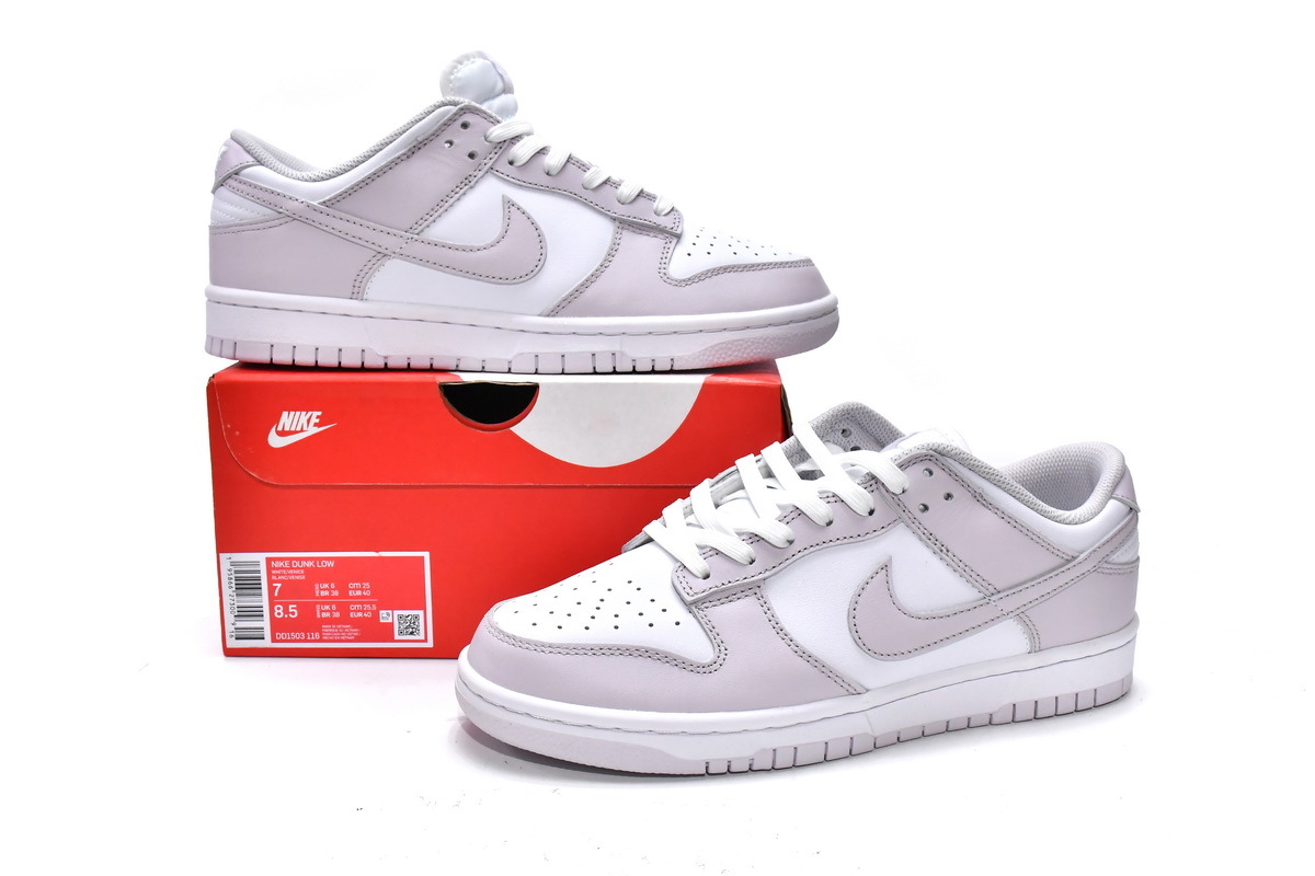 Nike Dunk Venice
