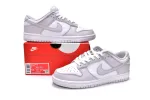 Nike Dunk Venice