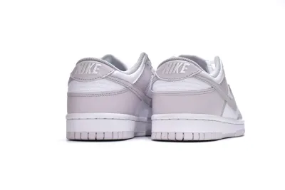 Nike Dunk Low Venice Reps Sneaker DD1503-116 02