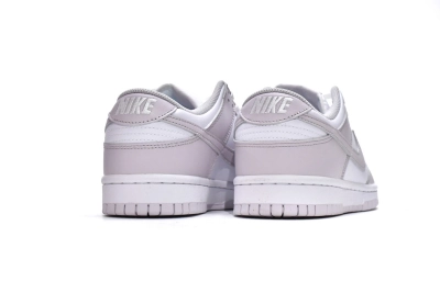 Nike Dunk Low Venice Reps Sneaker DD1503-116 02
