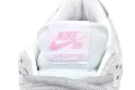 Nike Dunk Flat Silverand