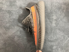 belugas yeezys