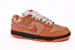 Nike Dunk Orange Lobster