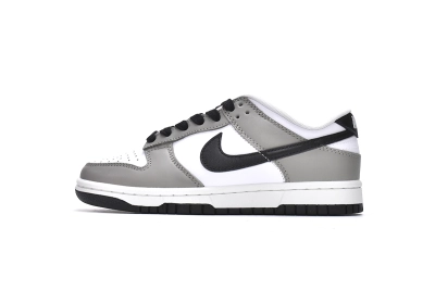 Nike Dunk Low Light Smoke Grey Reps Sneaker DD1503-117 01
