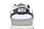 dunks low Smoke Grey