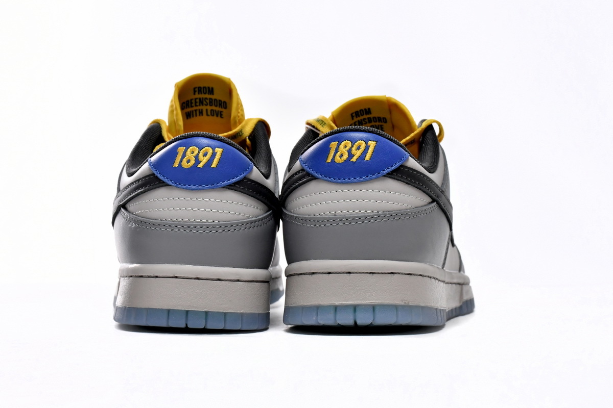 NCAT Nike Dunks