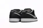 sb dunk shadow