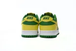 brazil nike dunk