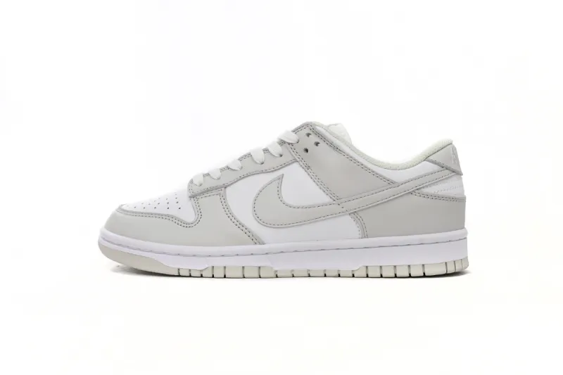 dunk low photon dust