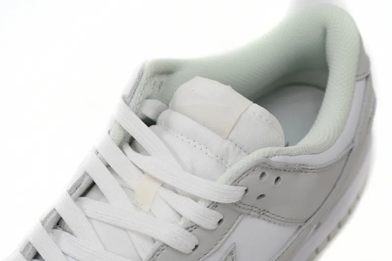 dunk low photon