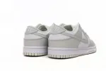 nike dunk photon dust