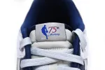 Dunk Low 75th Anniversary Nets