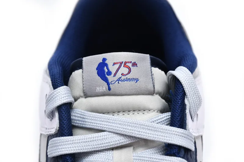 Dunk Low 75th Anniversary Nets