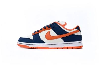 Nike SB Dunk Low Broncos Reps Sneaker 304292-184 01