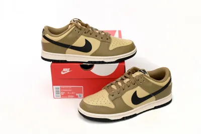 Nike Dunk Low Dark Driftwood Reps Sneaker DD1503-200 02