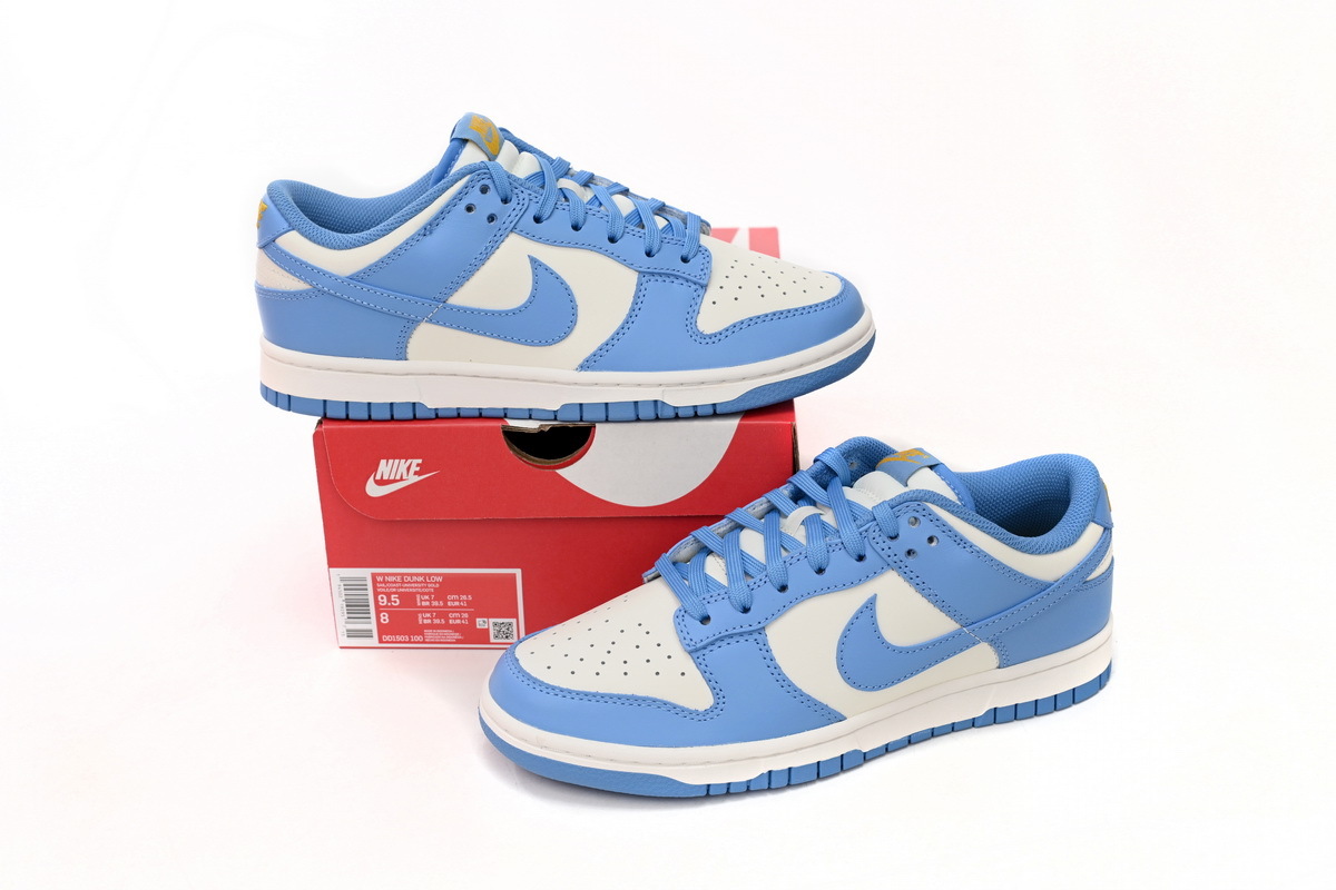 Nike Dunk Low Coast Reps Sneaker DD1503-100