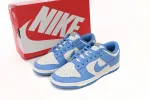 Nike Dunk Low Coast Reps Sneaker DD1503-100