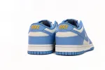 Nike Dunk Low Coast Reps Sneaker DD1503-100