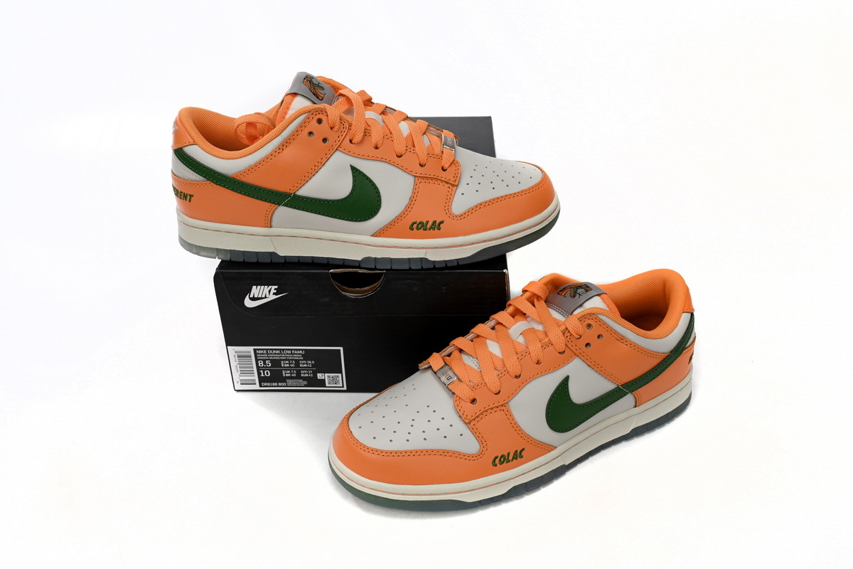 Florida A&M University dunk low