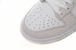 Nike Dunk Low Essential Paisley Pack Pink Reps Sneaker FD1449-100
