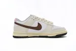 Nike Dunk Low Flowering Messenger Reps Sneaker DD1503-117