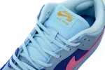 Nike SB Dunk Low Run The Jewels