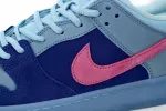 RTJ Nike SB
