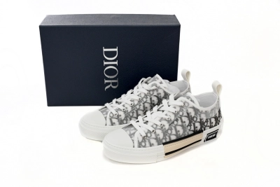 Rsnow Dior B23 Low Top Logo Oblique Reps Sneaker 3SN249YJP H069 02