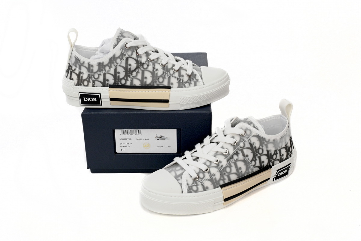 Dior B23 Low Top Logo Oblique