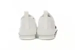 Dior B23 Low 'Dior Oblique-White'