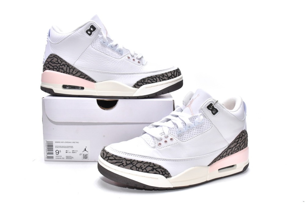Dark Mocha Jordan 3