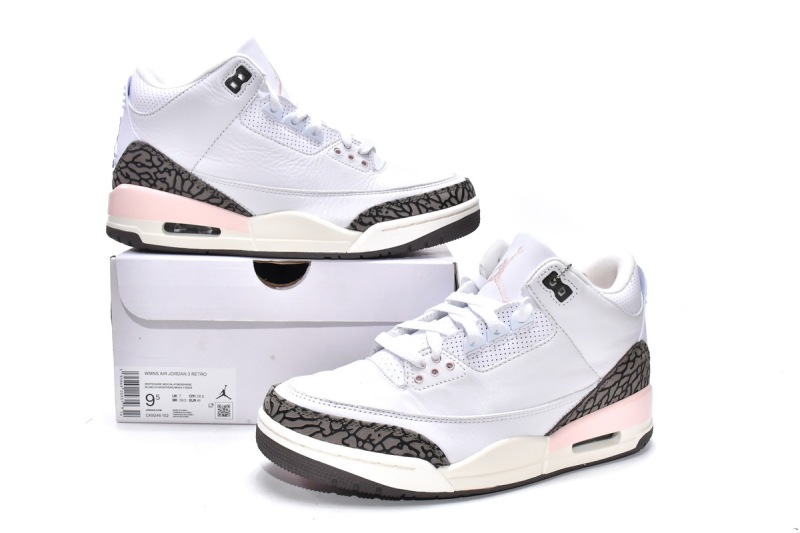 Dark Mocha Jordan 3