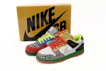 Nike SB Dunk Low What The Dunk Reps Sneaker 318403-141