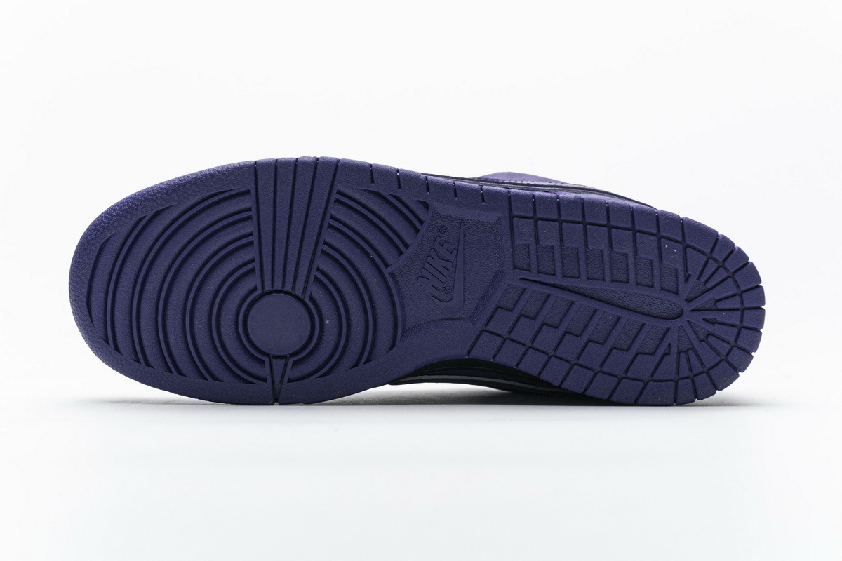 Nike Purple Lobster