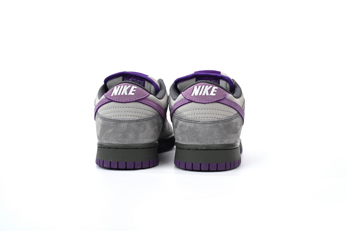 Purple Pigeon SB