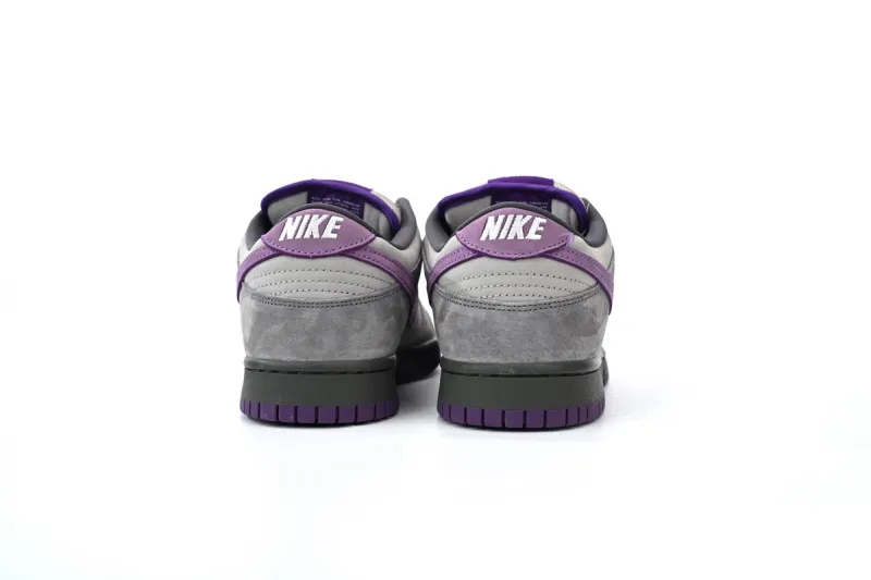 Purple Pigeon SB