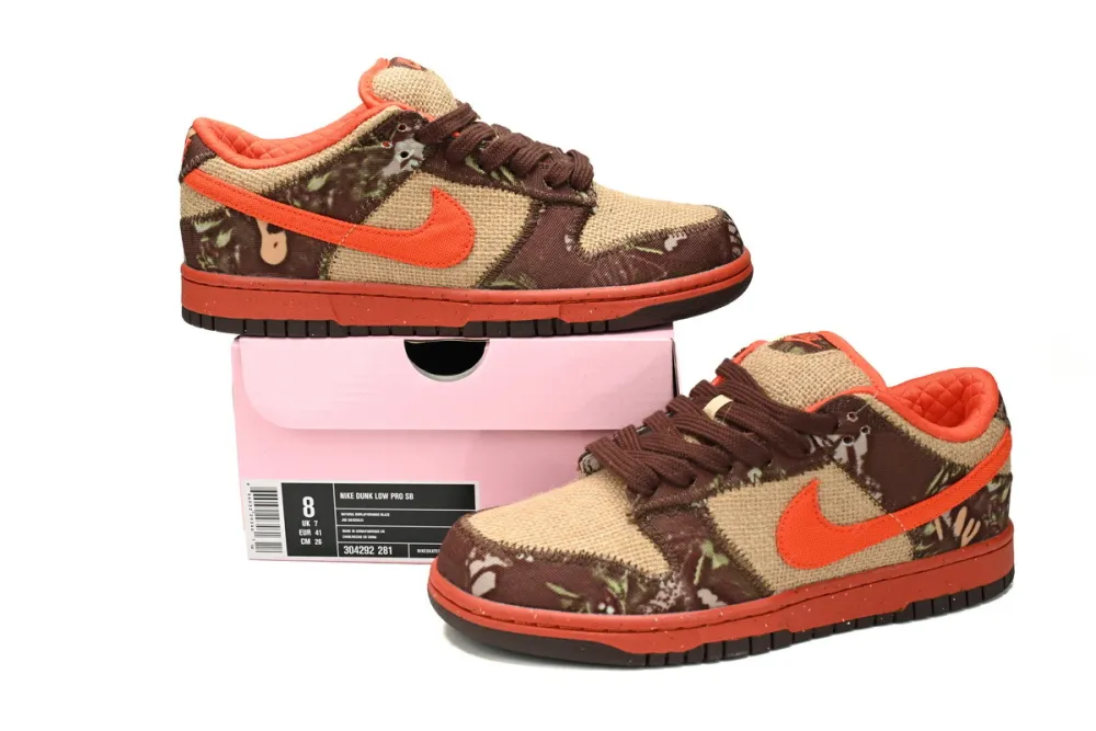 Rsnow Nike SB Dunk Low Reese Forbes Hunter 304292-281