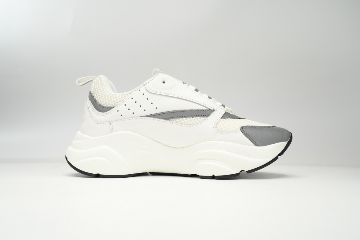 Dior B22 White Grey Fake