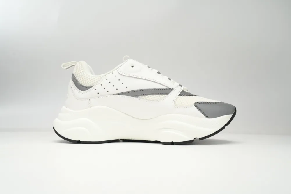 Dior B22 White Grey Fake