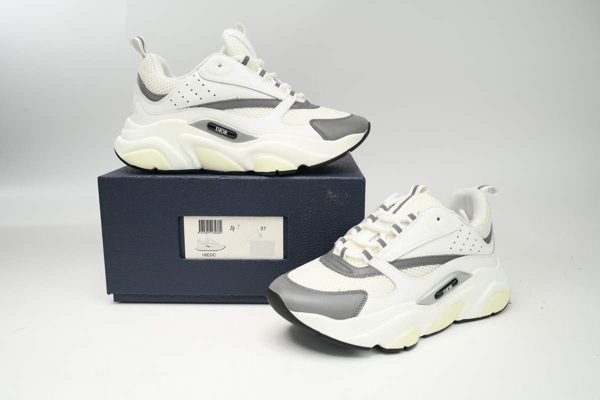 Fake Dior B22 White and Grey
