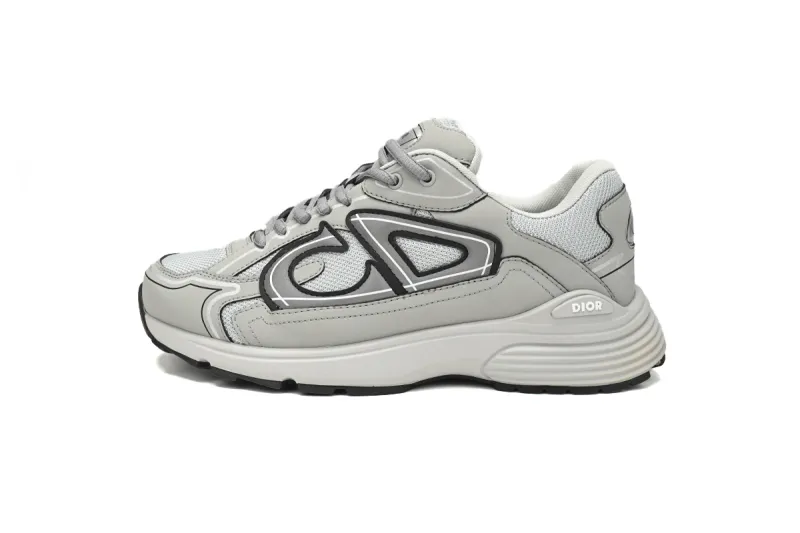 Dior B30 Grey Fake