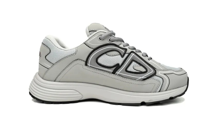 Reps Dior B30 Grey