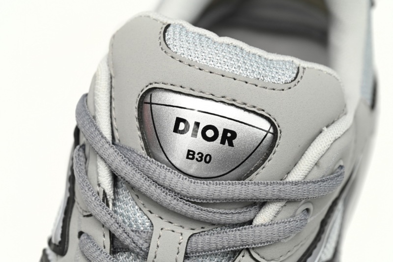 Fake B30 Dior Grey
