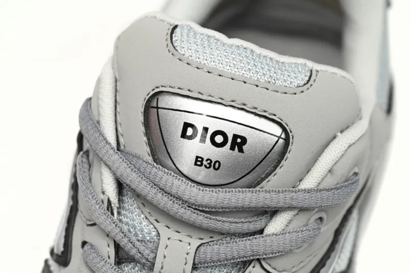 Fake B30 Dior Grey